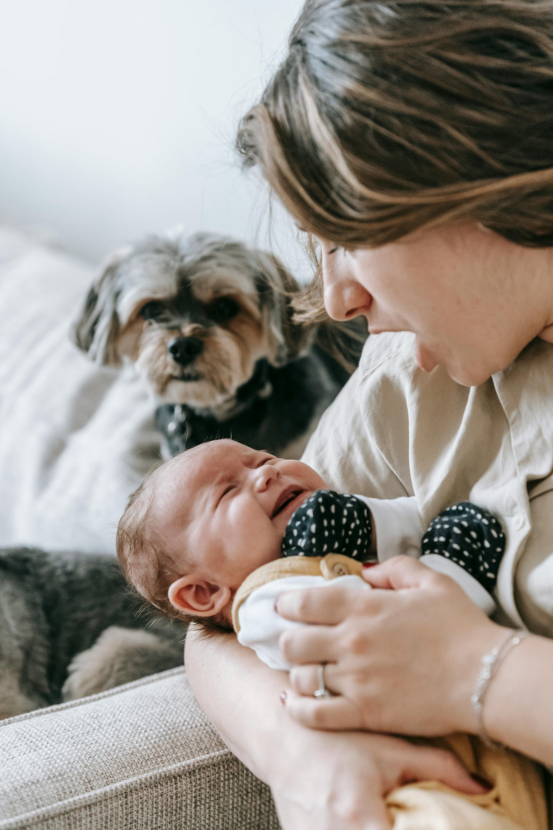 Safe, Plant-Based Cleaning for Families — Protecting Kids & Pets